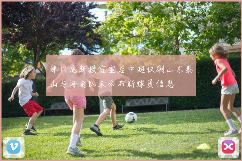 津门虎新援官宣后中超仅剩山东泰山与河南队未公布新球员信息