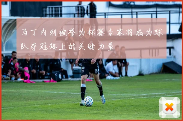 马丁内利被誉为杯赛专家将成为球队夺冠路上的关键力量