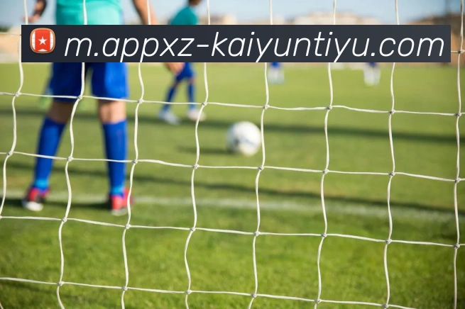 App Interface Preview