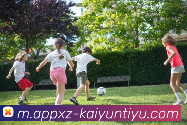 开云体育APP 封面图